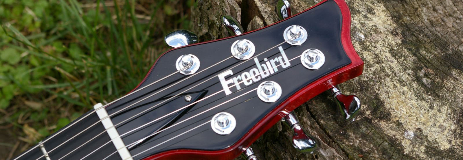 Freebird Guitars