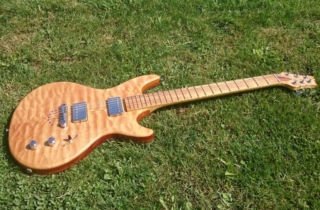 G8_Woody_02