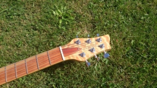 G8_Woody_04