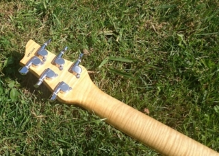 G8_Woody_06